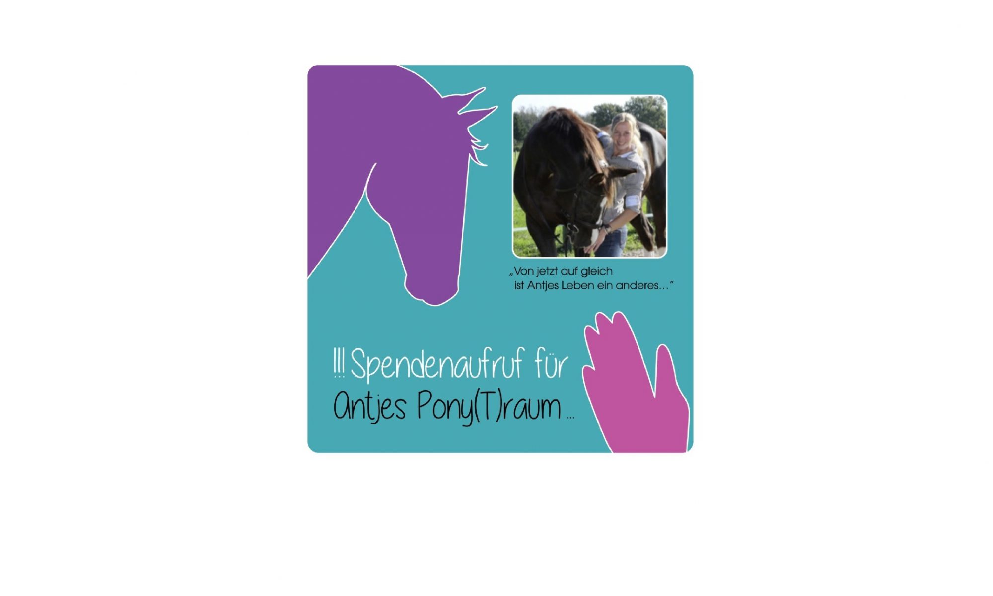 Ponyraum.de